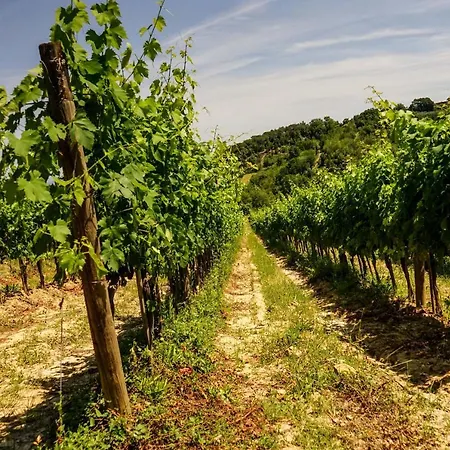 Tenuta Sant'ilario * Gambassi Terme
